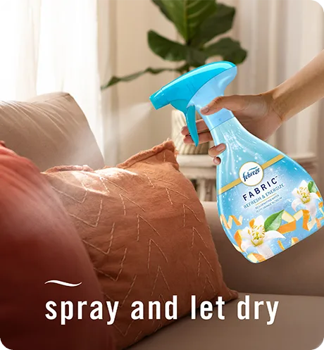 FABRIC Refresh & Energize spray and let dry.