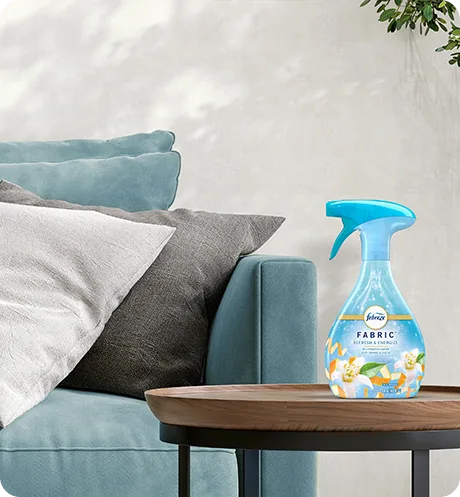 FABRIC Refresh & Energize living room.