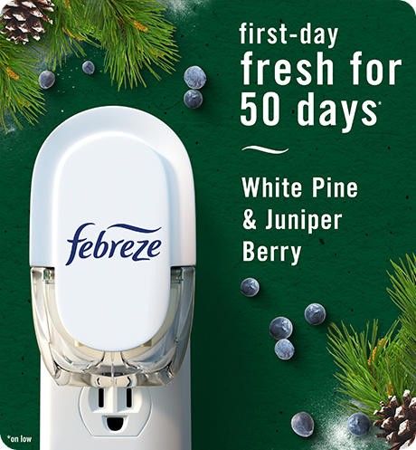 Plug White Pine Juniper Berry first-day fresh for 50 days.