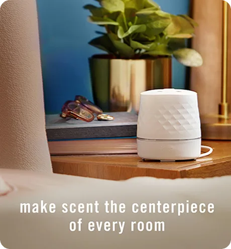 Make scent the centerpiece of every room.