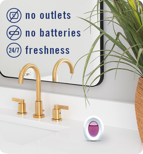 Bathroom Berry & Bramble. No outlets, no batteries, 24/7 freshness