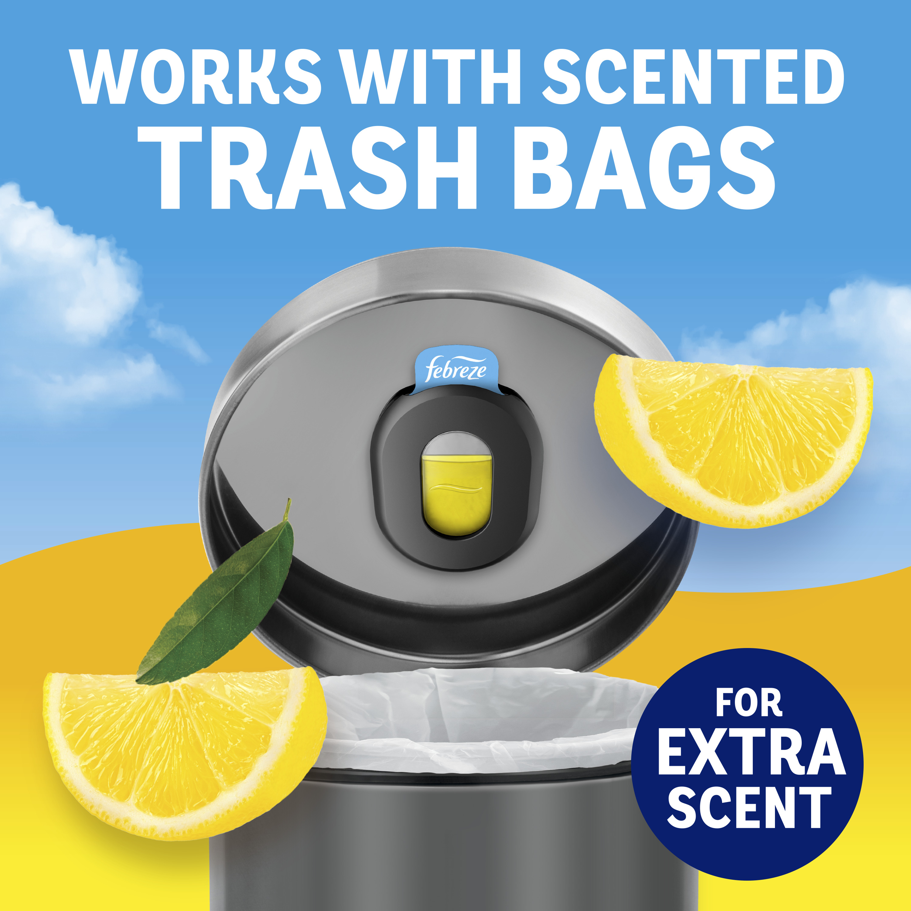 12 COMPATIBILITY lemon 12