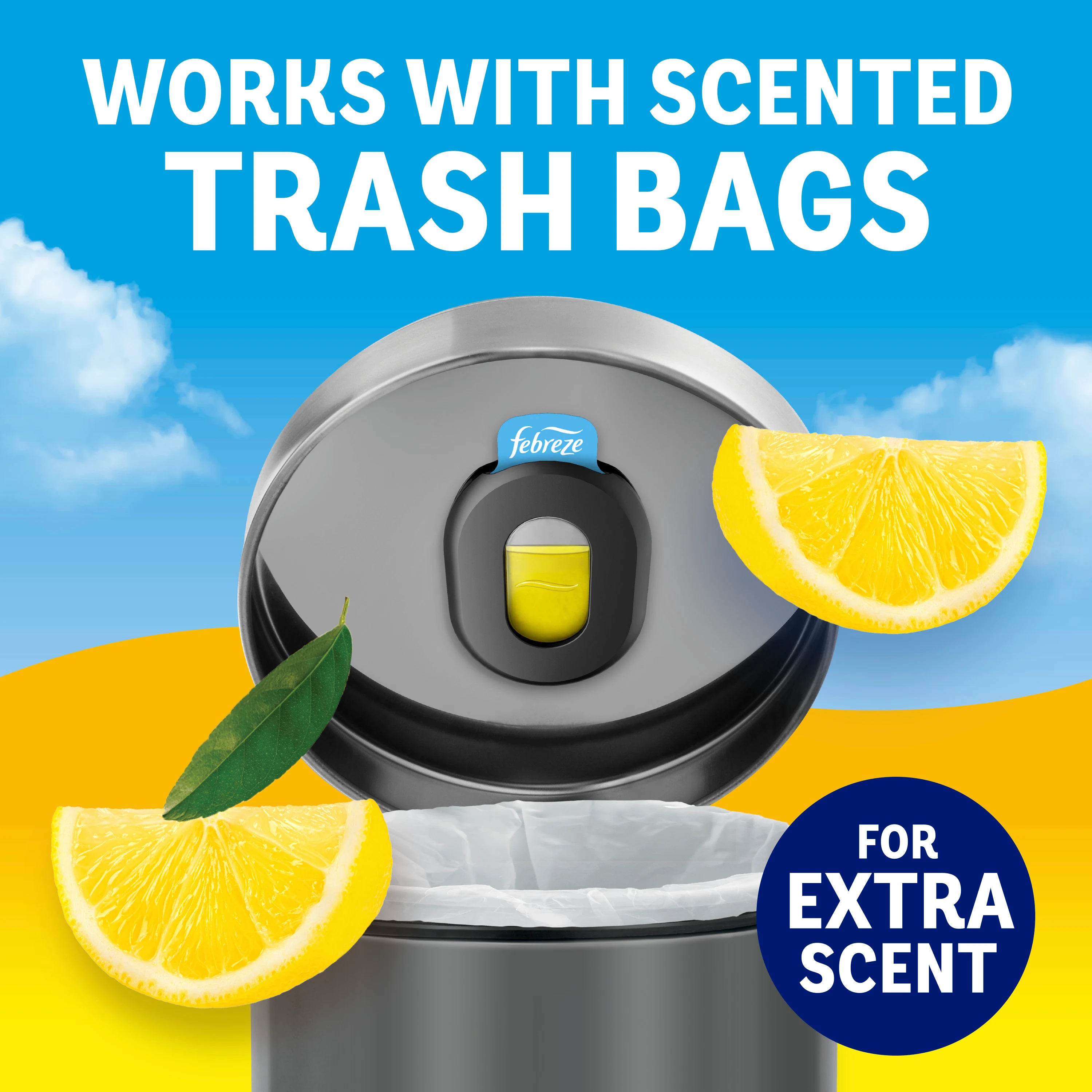 12 COMPATIBILITY lemon 12