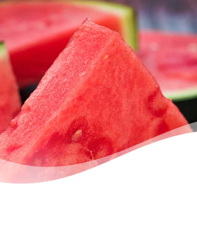 SP PDP Header Spring-Watermelon