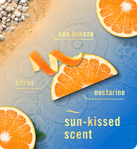 Sun-kissed scent. Sea breeze, citrus, nectarine.