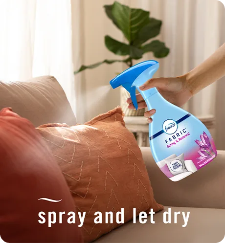 Spray and let dry.