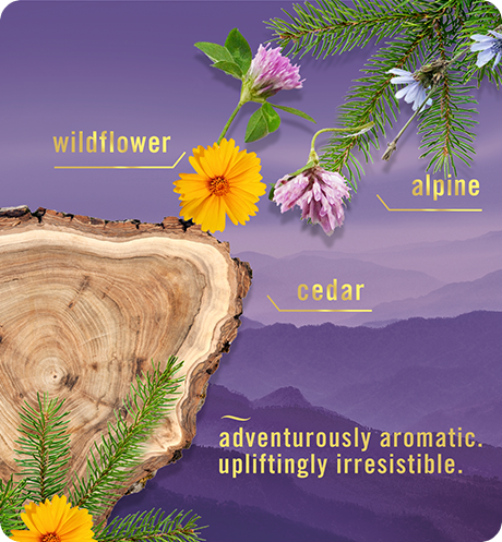 Wildflower. Alpine. Cedar. Adventurously aromatic, upliftingly irresistible.