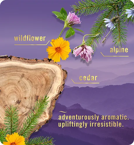 Wildflower. Alpine. Cedar. Adventurously aromatic, upliftingly irresistible.