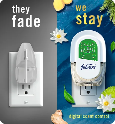 Plug ocean, they fade, we stay.