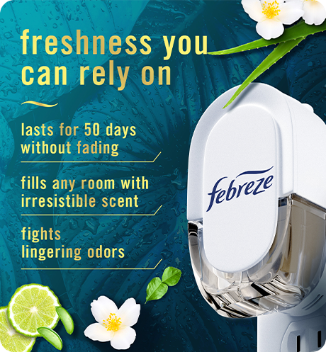 Plug Rainforest freshness you can rely on: lasts for 50 days without fading, fills any room with irresistible scent, fights lingering odors.