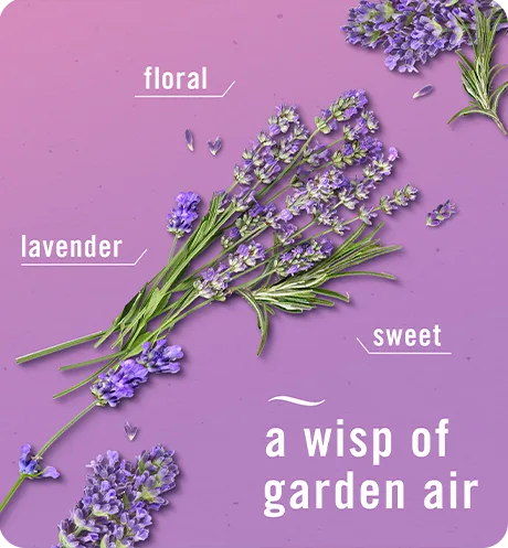 Plug twilight lavender a wisp of garden air. Floral, lavender, sweet.