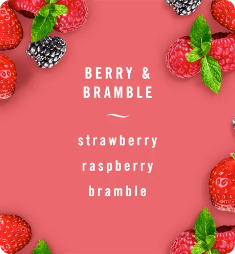 BrandcomCARScentBerryandBramble