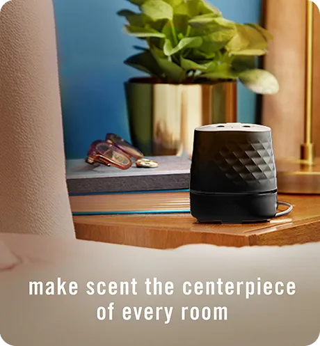 Make scent the centerpiece of every room.
