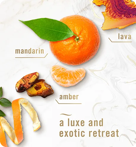 Ember candle a luxe and exotic retreat, lava, mandarin, amber.