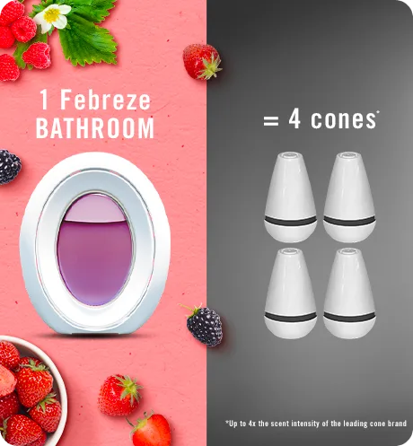 Bathroom Berry & Bramble 1 Febreze bathroom = 4 cones