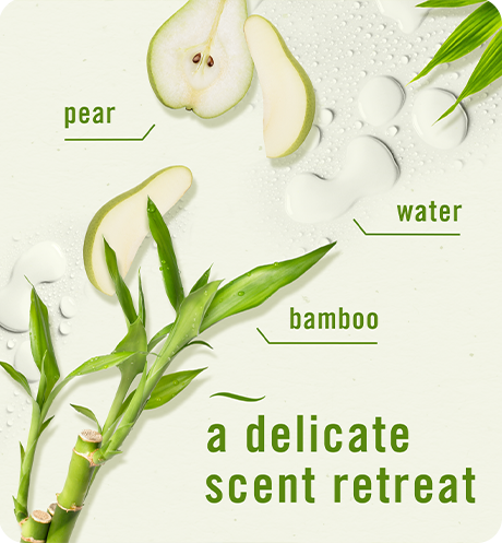 Plug Bamboo Light, a delicate scent retreat. Pear, water, bamboo.