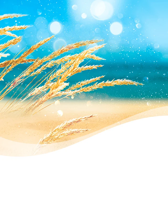 Warm Ocean Breeze smartphone header