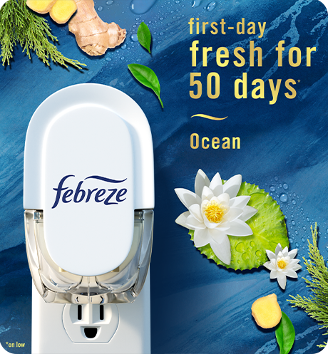 Plug Ocean first-day fresh for 50 days.