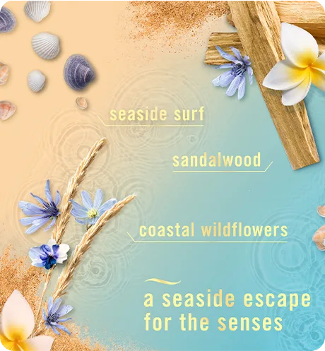 Warm Ocean Breeze seaside surf, sandalwood, coastal wildflowers a seaside escape for the senses
