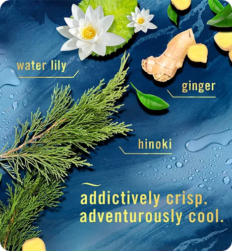 Addictively crisp. Adventurously cool. Water lilly, ginger, hinoki.