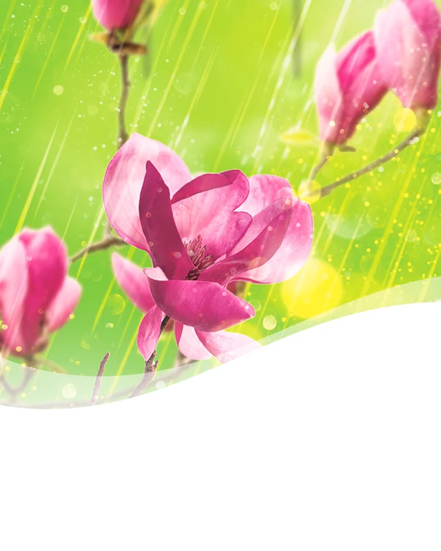 Air Morning Spring Showers smartphone header