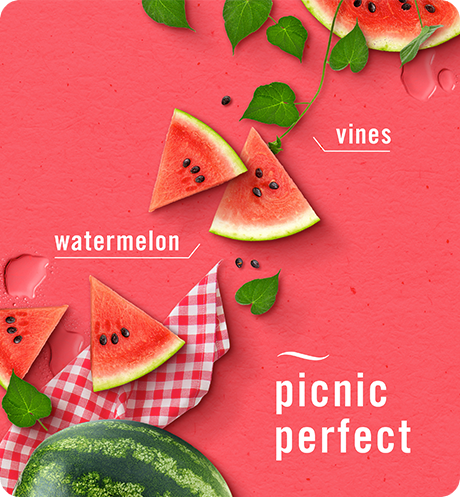 Sweet Watermelon Vine candle, picnic perfect, vines, watermelon.
