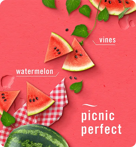 Sweet Watermelon Vine candle, picnic perfect, vines, watermelon.