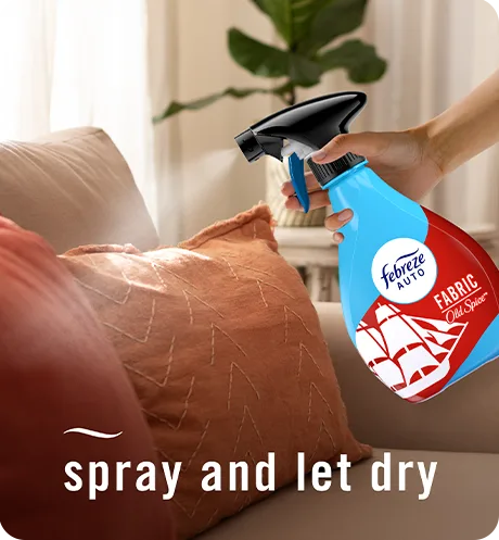 Fabric Old Spice spray and let dry.