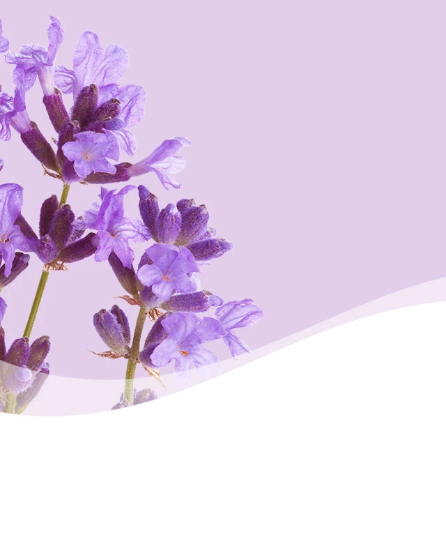 Lavender Smartphone Background