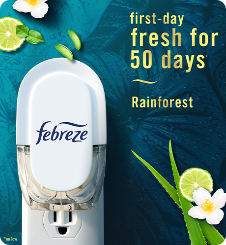 Plug Rainforest first-day fresh for 50 days.