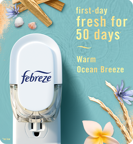 Plug warm ocean breeze first-day fresh for 50 days.