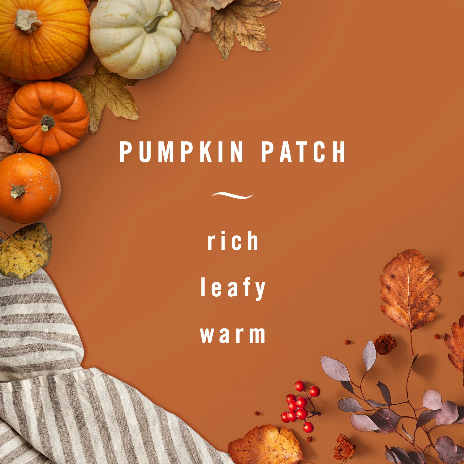 FBZ HOL Amazon Scent PumpkinPatch