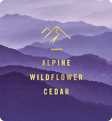 Mountain Alpine Wildflower Cedar