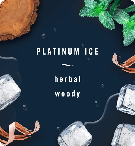 BrandcomCARScentPlatinumIce