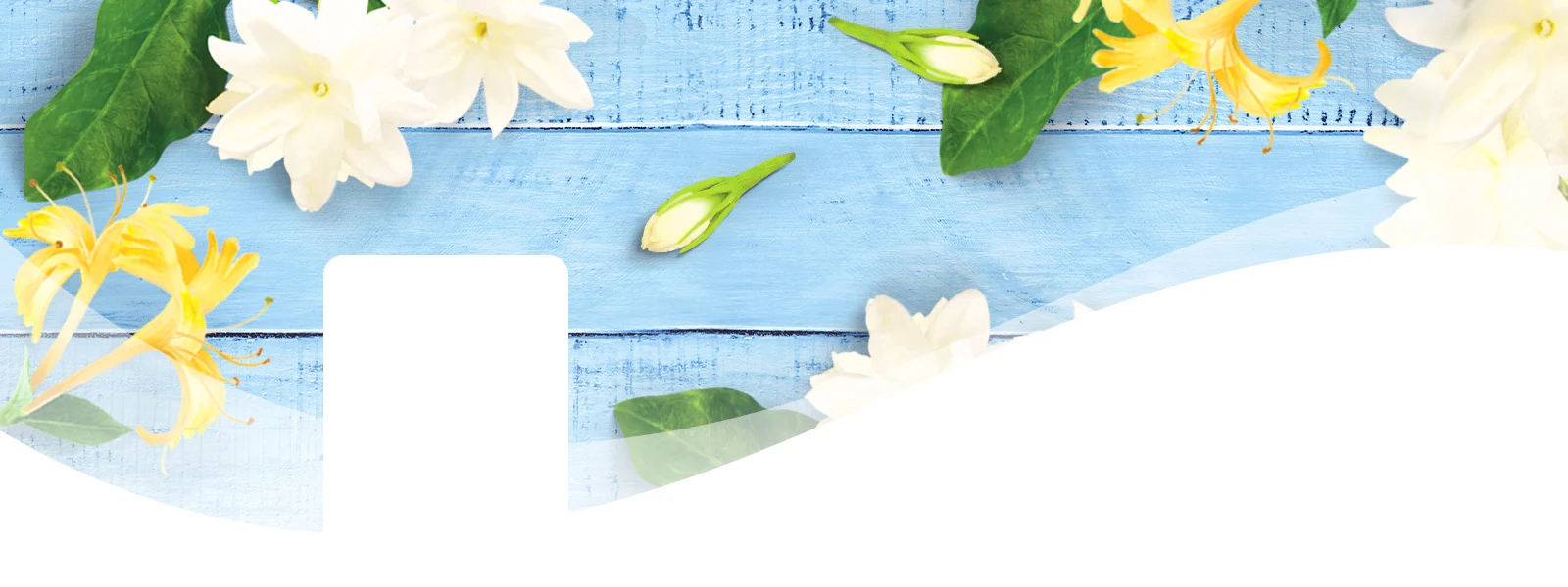 DT PDP Header JasmineHoneysuckle DT PDP Header JasmineHoneysuckle