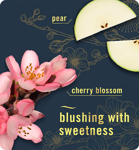 Blushing with sweetness. Pear. Cherry blossom.