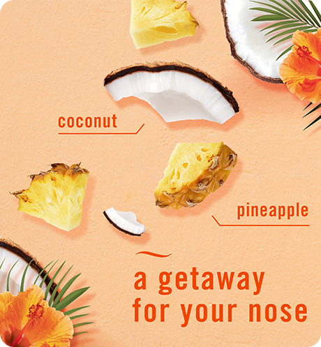A gateway for your nose. Coconut, pineapple.