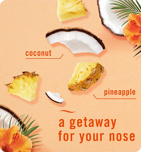A gateway for your nose. Coconut, pineapple.