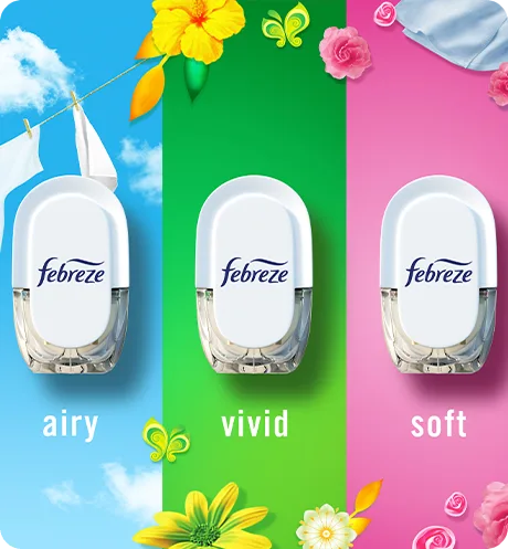 Laundry scents variety pack, airy, vivid, soft
