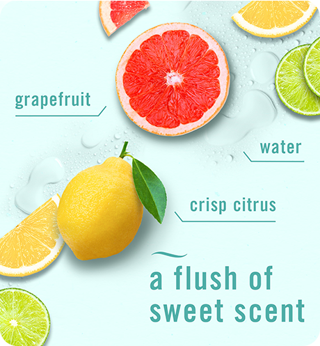 A flush of sweet scent. Grapefruit, water, crisp citrus. Small Spaces Bathroom Odor Fighter