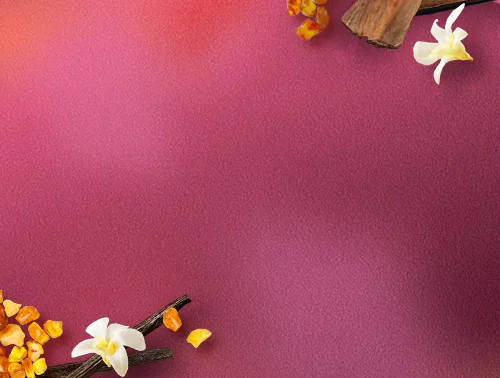 Purple wildflowers Purple wildflowers