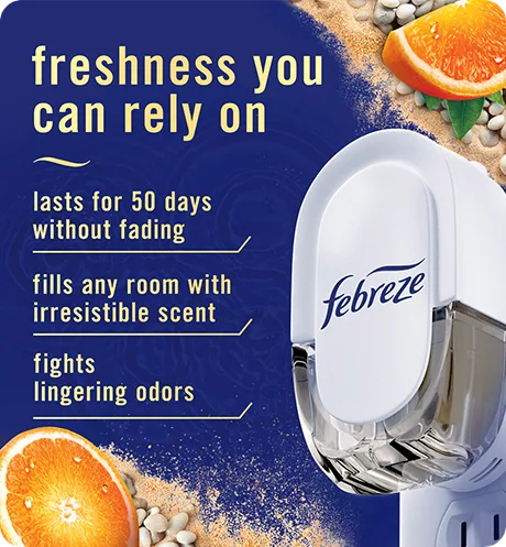 Plug Tranquil Cyprus Coves freshness you can rely on. Lasts for 50 days without fading. Fills any room with irresistible scent. Fights lingering odors.