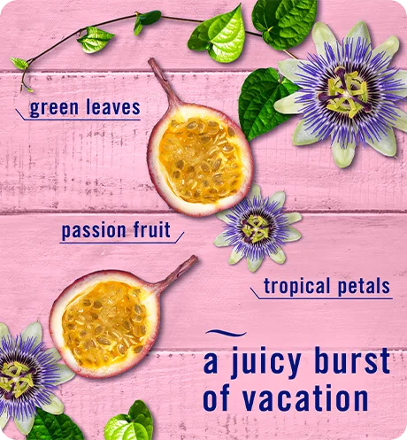 A juicy burst of vacation. Green leaves, passion fruit, tropical petals.