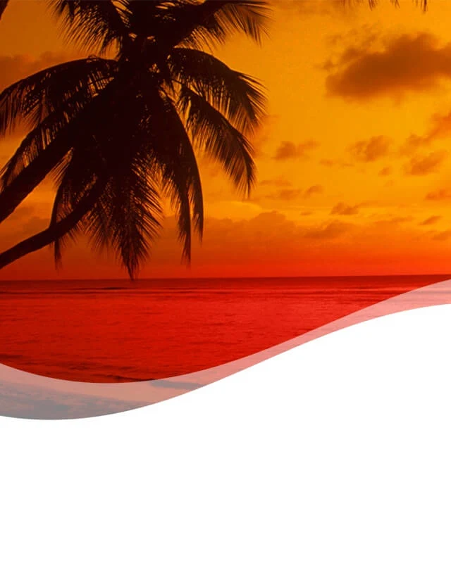 Hawaiian-Aloha background