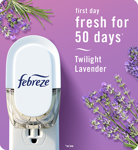 Plug twilight lavender first day fresh for 50 days.