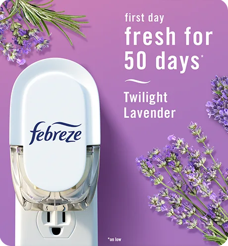 Plug twilight lavender first day fresh for 50 days.