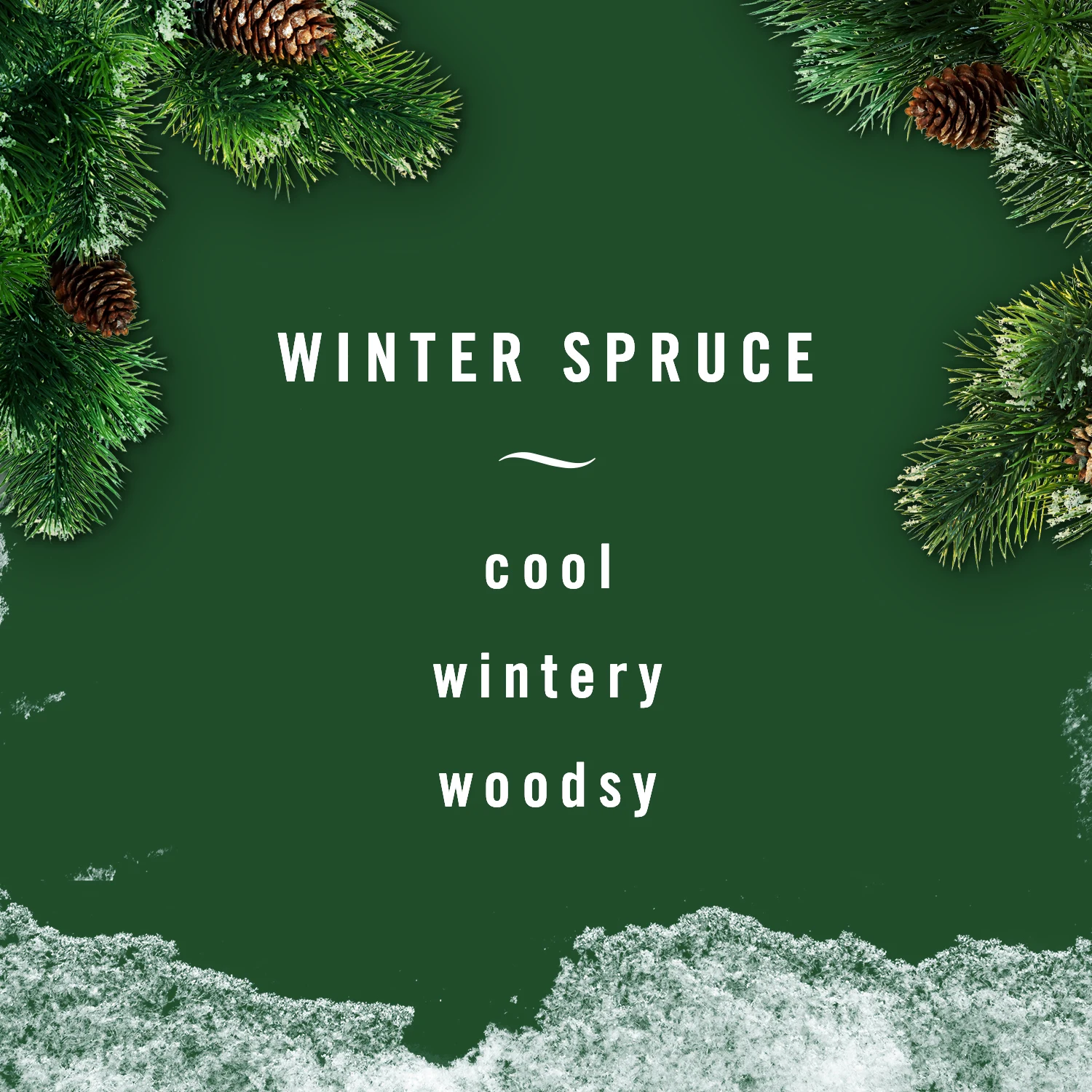 Winter Spruce - cool, wintery, woodsy