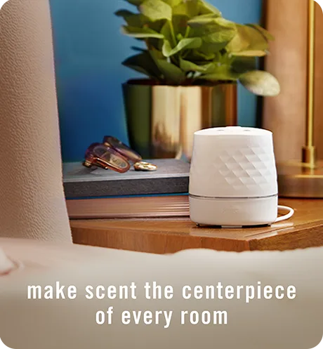 Make scent the centerpiece of every room.