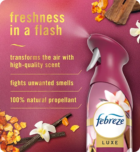 Air Vanilla Suede freshness in a flash: transforms the air with high-quality scent, fights unwanted smells, 100% natural repellant.