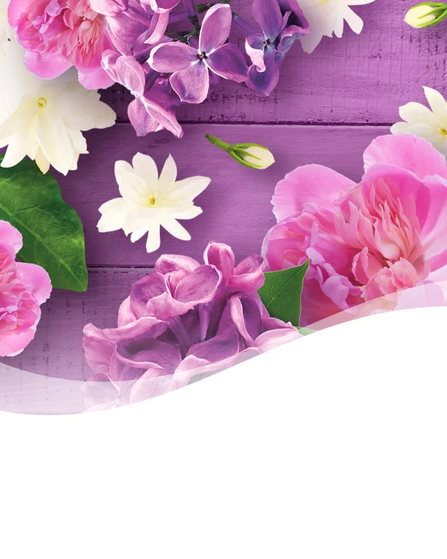 Lilac Sunrise background